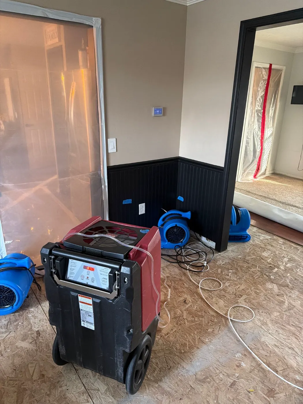 Sewage cleanup crew in PPE on the job, Heron Ridge area crew